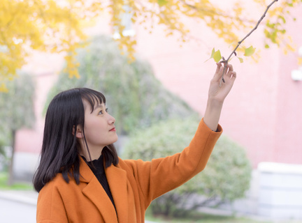 跟训看问题思对策 集智讲得准有质效