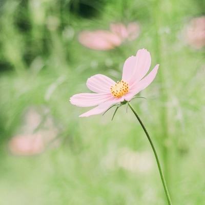 浙江绍兴：多彩活动迎双节