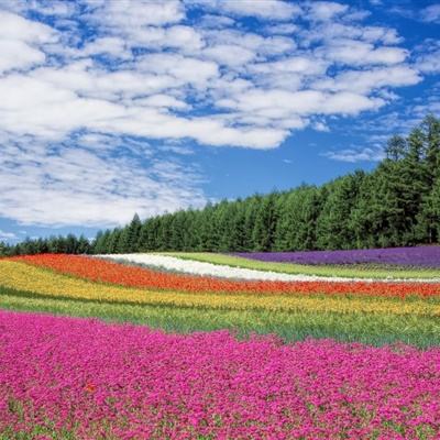 业内首创！上海医生用空间计算技术解决手术瓶颈