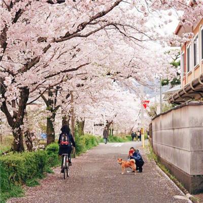 全国中小学生交通安全主题课8月30日播出