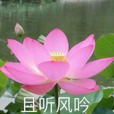 康力电梯：8月27日召开董事会会议