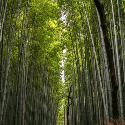 中国工商银行原副行长张红力被公诉！曾骗取博士学位